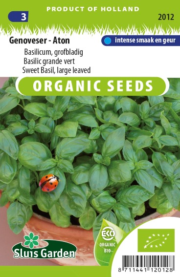 Basil Genovese Gustosa BIO (Ocimum Basilicum) 620 seeds